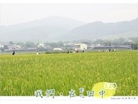 去“田中”奔驰！带孩子骑单车　DIY袜子、玉米变娃娃
