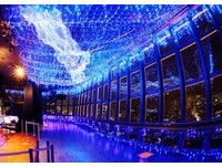 银河、天梯在东京铁塔架起　即日起点亮东京夜空