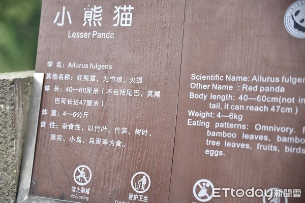 四川熊猫乐园。(图/记者黄琬茹摄)