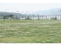 迎风狗运动公园重新开幕　跟着毛小孩一起玩耍吧！