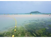 “海沙形成一条白色之路”韩人最爱去的海水浴场