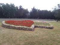 澎湖林投公园变优雅！“双心造型花海”旅客最爱拍照点