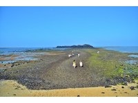 “母亲节快乐！”全台主题乐园、风景区优惠情报总整理