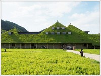 日本草根屋咖啡厅　有超辽阔庭园、club harie年轮蛋糕