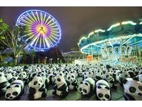 将“圆仔”带回家！北市府加好友抽纸猫熊活动