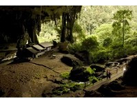 13个足球场大洞穴！尼亚国家公园4万年前人类遗迹