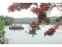 浓郁奶香在山水间飘扬“台南柳营牛奶节”10日登场　