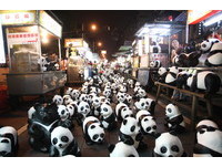 快讯／纸猫熊“大闹”宁夏夜市　6000元公益认养一只