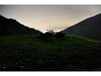 走过风灾　里佳部落用“天上星河、地上萤河”重拾笑容