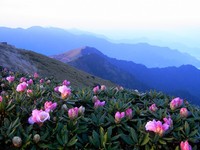 瘾君子注意　4月1日起在国家风景区抽烟最高开罚1万元
