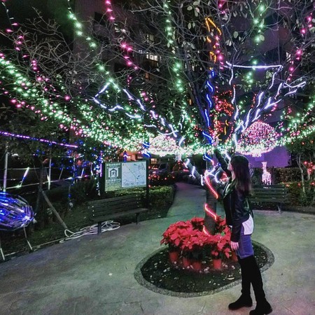 ▲福兴圣诞公园。（图／网友anniehwa提供，请勿随意翻拍，以免侵权）
