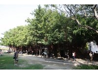 多久没和爸妈旅行？“不老假期”送古迹门票、日本料理
