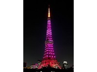 东京铁塔变成“樱花塔”　粉红钻石灯光只在花开时闪烁