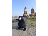 高雄人注意！熊本熊KUMAMON出没