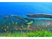 超浪漫！到澎湖“恋人秘境”双心石沪办婚礼