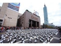 1600只纸猫熊北市府广场前展出　228首日吸逾27万人