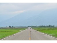 公车搭到饱！“就是爱池稻线”玩遍伯朗大道、关山美景
