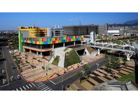 拈花惹草寻他处　17年历史台北花市3月8日熄灯
