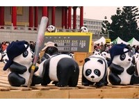 1600纸猫熊展搭《KANO》潮　圆仔vs黑熊两厅院前开赛
