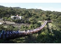 到内湖白石湖山踏龙骨、采草莓　夫妻树下见证浪漫