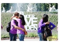 10万株薰衣草绽放　九族打造“紫色情人节”