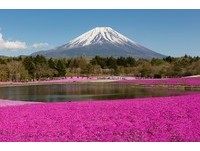 2018年全球赏花攻略！就是要你眼“花”撩乱