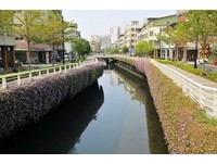 “幸福川”紫花争妍斗丽　交织浪漫动人的景致