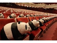 快讯／取代人类！1600只猫熊快闪　坐上国家剧院观众席