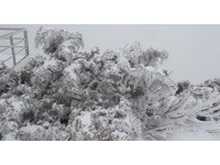 今早零下五度　玉山降下入冬以来最大雪