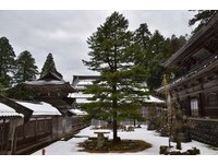 福井浪漫雪景　滑雪、观浪享受大自然的壮丽