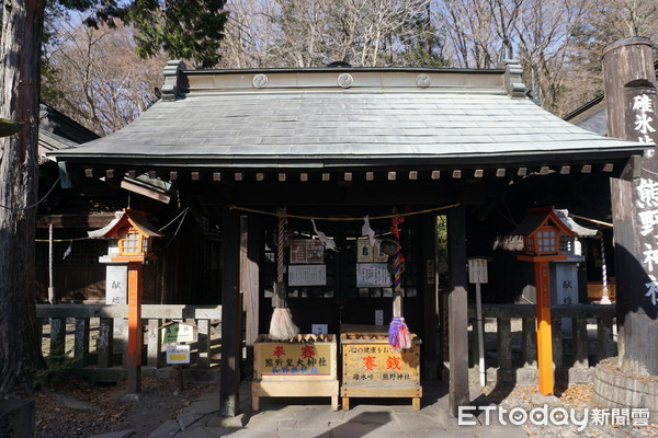 ▲轻井泽秋冬必去5景点　绕行850年“信浓树”可求恋爱运。（图／记者严云岑摄）