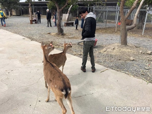 ▲垦丁鹿境。（图／记者华少甫摄）