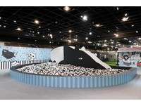 免费！高雄“爽啾貘”特展今登场　超大黑白球池拍到手软
