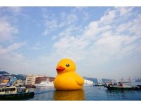 8日欢送黄色小鸭离开海洋广场　“欢乐鸭”9日接棒展出