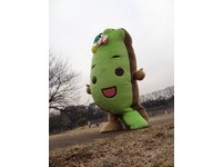 为世界兰展热身　“台湾达”顶寒风现身东京公园练舞