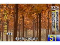 大陆首座慢城“高淳”生活节奏缓　连小狗也慵懒