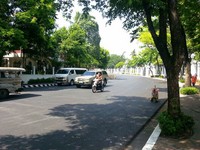 疫情频传不利婴幼儿　越南及菲律宾真“麻”烦