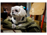 台南“此木犬”宠物食堂　毛小孩结交新朋友的小天堂