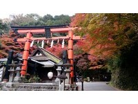 到日本参拜神社、寺庙拜对了吗？正确流程、习俗告诉你