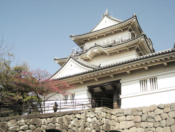 ▲游伊豆赏日本最早樱花。(图/凤凰旅游提供)