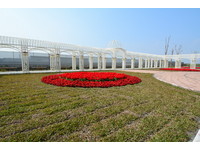 溪州花博公园123顷花海　打造彰化费兹洛公园
