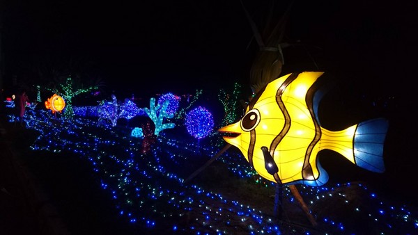 ▲“光点&middot;福隆”系列活动。（图／交通部观光局东北角暨宜兰海岸国家风景区管理处提供）