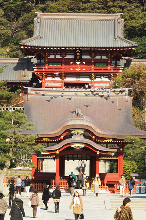 ▲游伊豆赏日本最早樱花。(图/凤凰旅游提供)