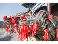 摸摸头一生一世不发愁　靠海山东旅游一定要摸到的龙龟