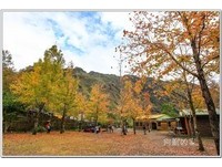 秀峦赏枫之旅　美树营地“枫”景好、石磊部落恍如仙境