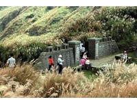 古道健行赏芒　金山泡暖汤