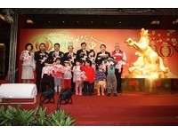 台湾灯会“龙驹腾跃”主灯亮相　“超萌马”提灯好吸睛