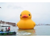 快讯／气炸了？基隆小鸭开幕　霍夫曼临时通知不出席