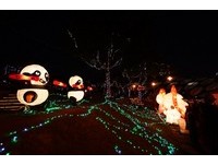 小圆仔抛扯铃、驾大金刚　2014台北灯节2月7日点亮花博
