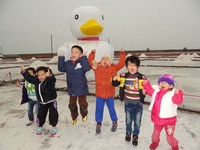 尬黄色小鸭！北门3米高白小鸭置身“雪”世界